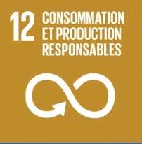 sdg12